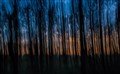12_Sunflare in the forest_Kay Ertzeid.jpg