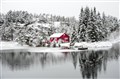 Årets første snøfall_Sigbjørn Utland.jpg